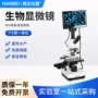 专业基础实验手持显微镜