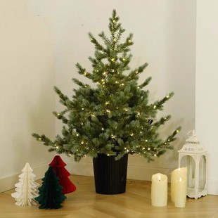 �ɼ�}�Q����������͏d���⻨�@�ɘ�ֲ�ﻨ���ͺ��ļ�ͥԺ����