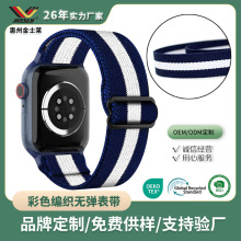 人字纹斜纹玉米纹全涤织带 彩色编织无弹表带RPET辅料 织带厂家