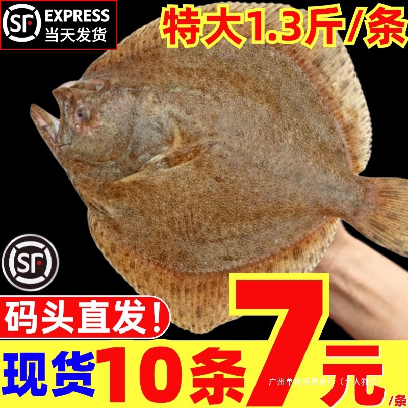 多宝鱼鲜活超大比目鱼新鲜鸦片鱼鲽鱼大偏口海鱼八宝鱼海鲜水产