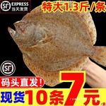 多宝鱼鲜活超大比目鱼鸦片鱼鲽鱼大偏口海鱼八宝鱼海鲜水产批发