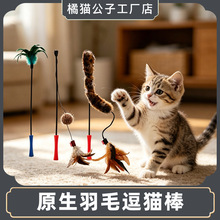GiGwi�F��؈������˽␞������؈����ë��ҧ�B؈��؈������Ʒ