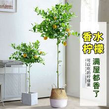 ˮʘ玧Կ͏dGֲ҃ȸߙn˰ļʳ