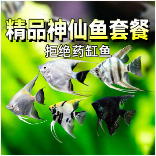 �����~���~�t�^ī���{ħ����ѩ�ɵ�ˮ�~С���~�������ɺڰ���؈��