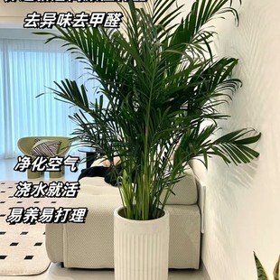 FҬӴ;Gֲ҃ȿ͏dkҺBֲļȩw