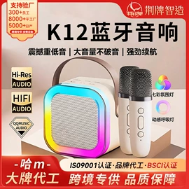 蓝牙音箱;扩音器