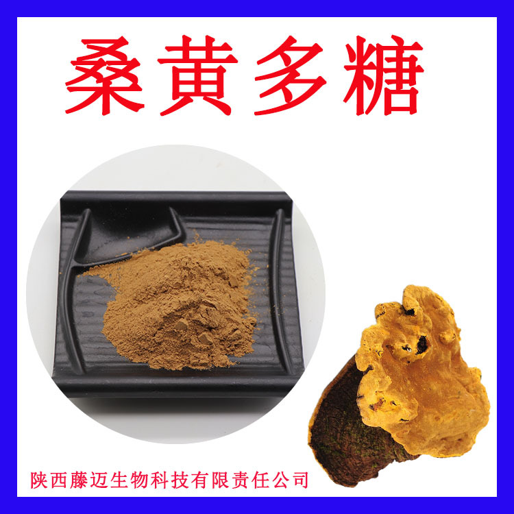 桑黄多糖50%无中间商桑黄浓缩粉欢迎选购桑黄提取物