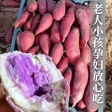 新鲜红薯冰淇淋番薯一点红紫心红薯地瓜广东沙地现挖花心紫薯