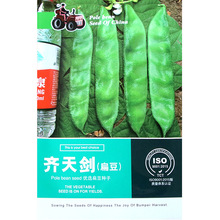 �R�섦�ⶹ�N�� �r��ˈ@�߲��������w�S����񶹽���