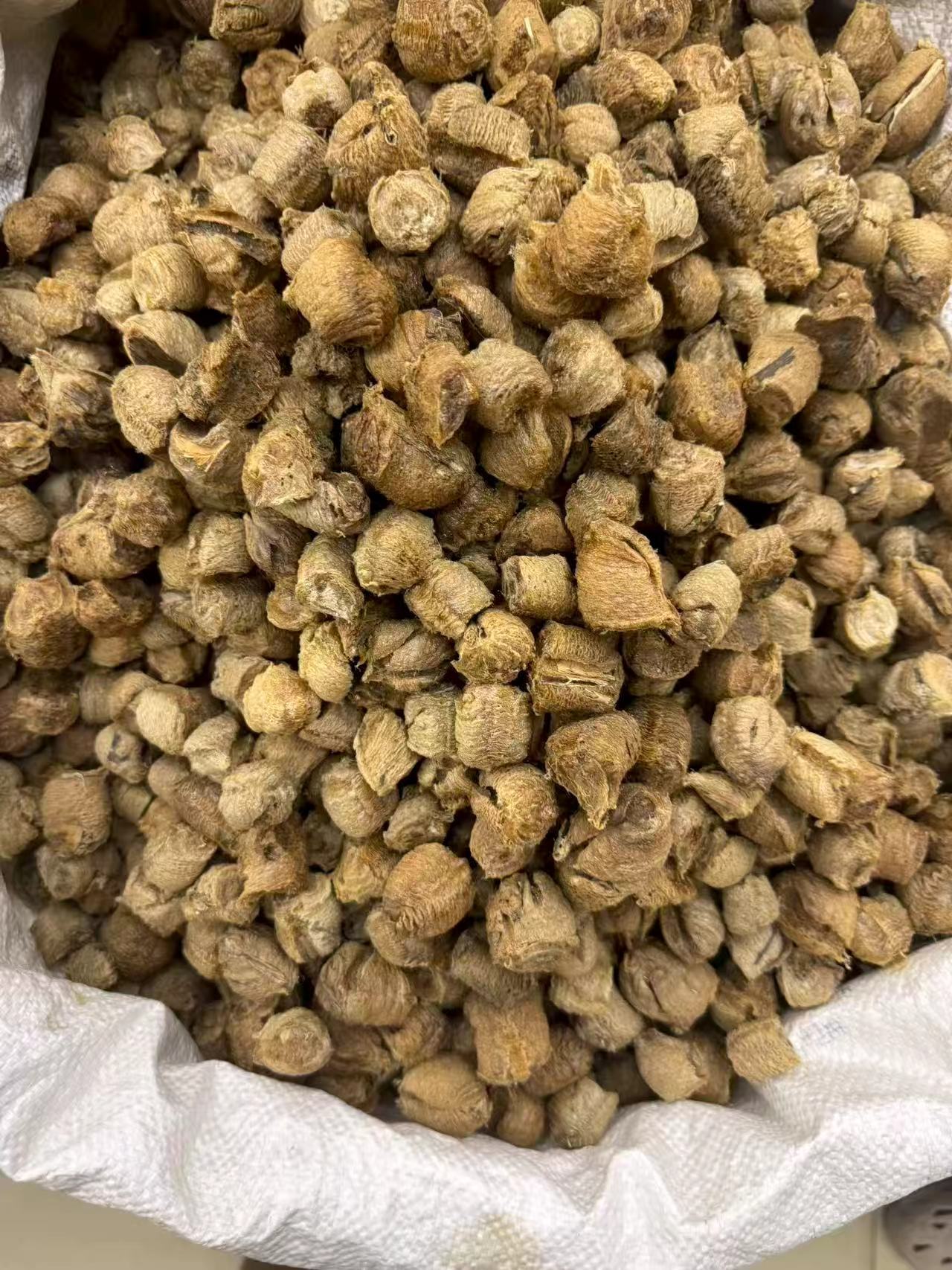 Dried Mantis Egg Case Sang Piao Xiao 桑螵蛸 TCM Herb for Wine Infusion and Decoction Sun Dried Anhui Origin in use