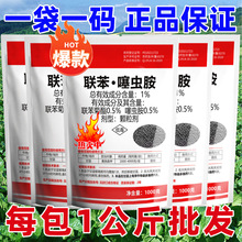 �����x���˵ع��@�﹡���ϵ��º��x�r�Ú��x�����ϻ�����xϓ�