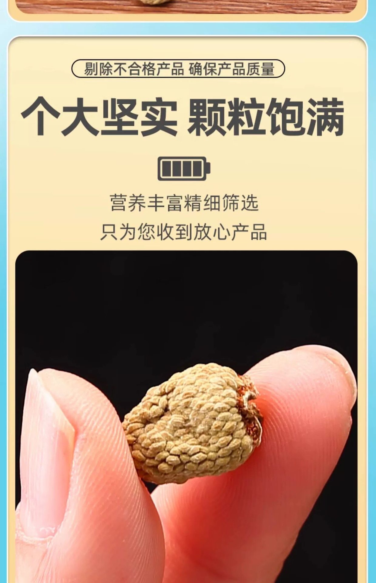 Wild Raspberry Dried Fruit Fu Pen Zi 500g Herbal Tea and Wine Ingredient in use