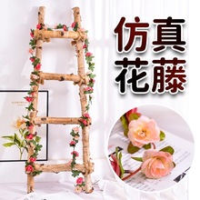 ����õ�廨��45�^��c���T���@�b��{�ܵ��p�@�ړ����ϼٻ��ٗl