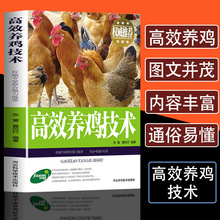高效养鸡技术鸡病鉴别诊断图谱及用药养鸡鸭鹅技术书肉鸡蛋鸡土鸡