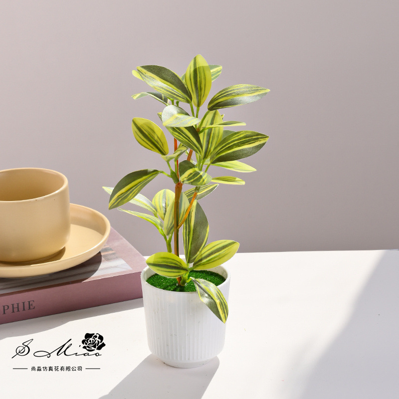 Simulación de plantas verdes, pequeñas plantas en macetas, flores artificiales, flores creativas, decoración de estudio fotográfico para el hogar, plantas verdes artificiales, bonsai de simulación image 3