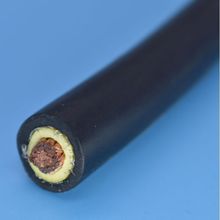 �S�ҹ����L����|[��о�����p�o�� �Cе���ȸ�,��Ť,����,�͵͜�]