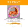 Golden loach 18-20 cm 4 pieces + feed
