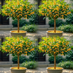 �ļ������ԝ����𻨘����������¹�͏d�̨ͥԺ���B����ֲ��