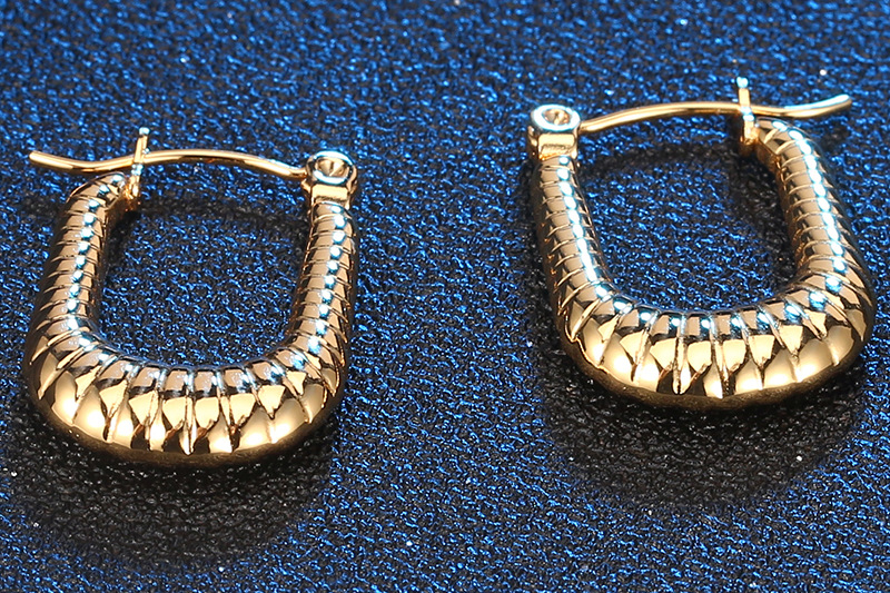 Fashion U Shape Titanium Steel Plating Earrings 1 Piece