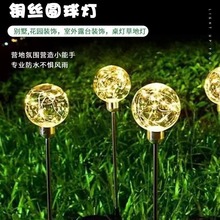 太阳能芦苇灯透明圆球铜线灯亮化工程草坪灯户外防水庭院插地灯