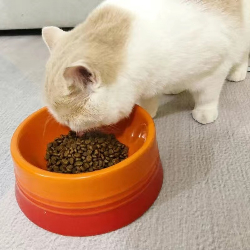 Orange Cat Food, Tabby Cat Food, Universal Type 2.5kg Affordable Stray Cat Food for Adult Cats and Kittens 5kg Cross-Border