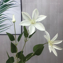 3������F��ɏ ��c���� ��ӬF���Ҿ��b� �S�����l �F��ɏ �ٻ�