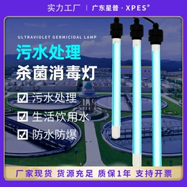 杀菌灯管;镇流器;水杀菌消毒