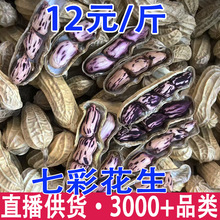 �߲ʻ��������ز�����ɹ���»���������ԭζ�̸��߲ʲʻ���