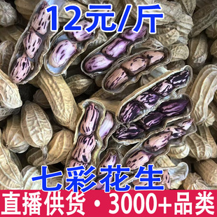 �߲ʻ�������خa���������؛��������ԭζ�̸��߲ʲʻ���