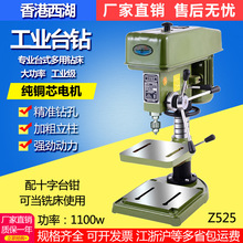 ĮZ5251100W16/25MM͸߾̨ʽ荴㊴