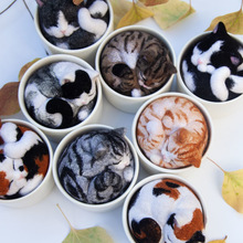 �е��ߵ���ë��؈��������ֹ����ϰ�