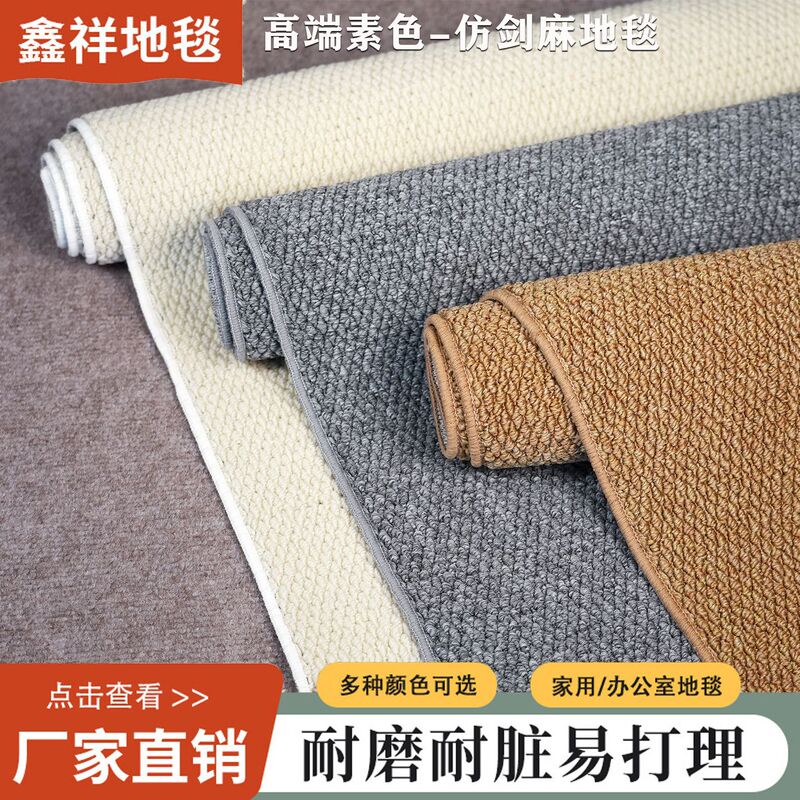 Xinxiang Imitation Sisal Carpet, Wear-Resistant and Odor-Free, New Style Living Room Floor Mat, Commercial and Home Use, Bedroom Bedside Sisal Carpet