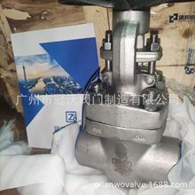 Z61Y-150LB Z61Y-300LB  Z61Y-600LB Z61Y-900LB���P䓺����l�y