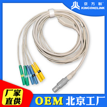 �������S���lholter�� ��늾� �t���� ������ 늘O���D�Ӿ��迹С