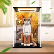 �ǿ���չʾ�������ָ�21376��ɫèIDEASϵ�л�ľ�ڼ���͸��������