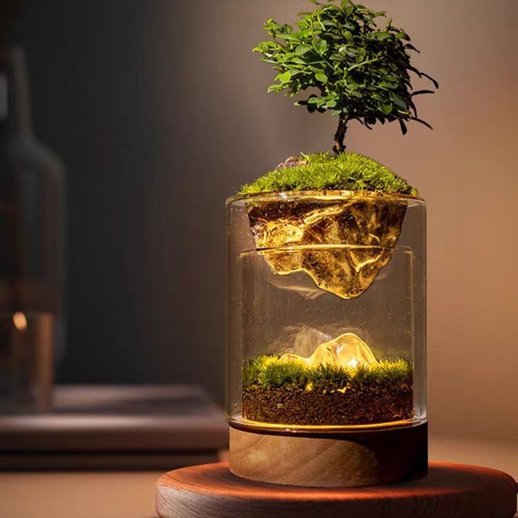 Creative Plant Micro-Landscape Night Light Ornaments For Room, Living Room, Office Decoration, Easy To Maintain