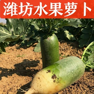 �H���}��ˮ���}�����r�F�άF�l3��5��9��ˮ���}��һ�����l