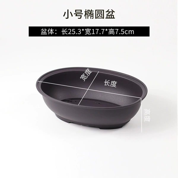[25椭圆盆]
