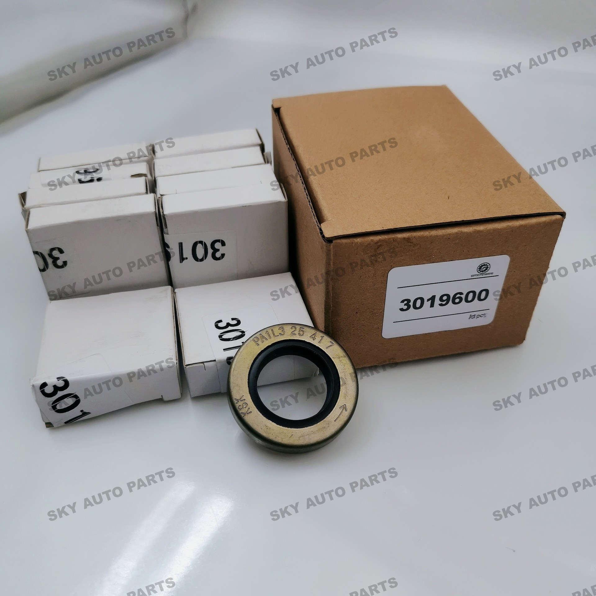 3019600 Domestic brand new high quality Xi'an Cummins parts ISM11
