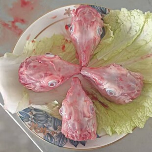 ���ìF�����r��̖���^������^���r���^�����F؛