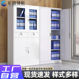 Office Iron Cabinet Filing Cabinet Financial Voucher Data Filing Cabinet Storage Locked Low Cabinet Storage Cabinet Wall