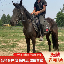 Ůʿ�T�˜�Ѫ�R Ӗ�õĻ��R������ �����R �ɹ��R�R�x