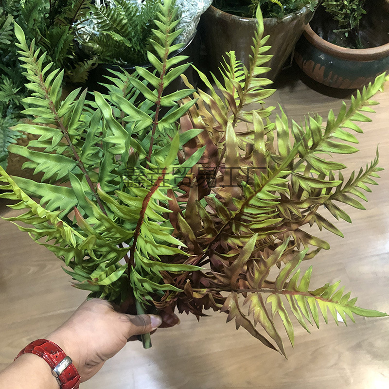 秋色波斯草绿植把束厥草塑料排骨草 肾蕨植物样板间装饰