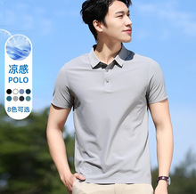 2025걬˿޺POLOʿ5ļTٸ