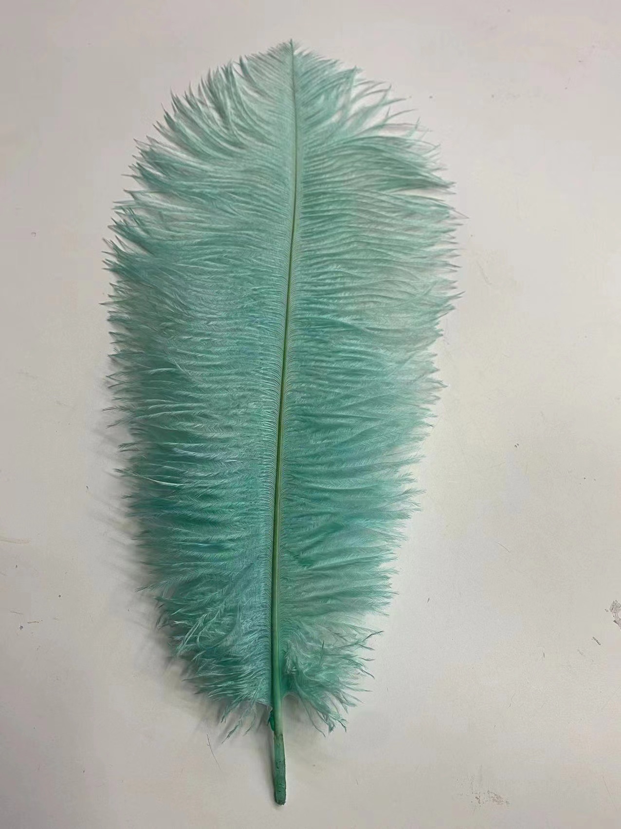 微信图片_20221127230100