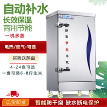 蒸饭柜 商用燃气蒸饭柜食堂液化气大型蒸饭车全自动双门电蒸饭车