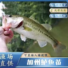 ���|�����|�~�絭ˮ�|�~�����|�~��·��̨�|���|���͸��ܶ��B���]