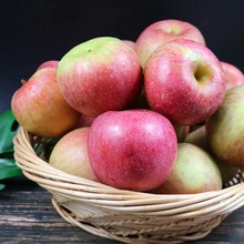 �|�������O�����r������Ʒ�N����ʿ�����ĳ�Ƽ�����rˮ�����]