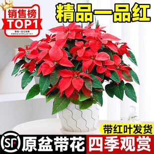 һƷ�t�����������҃ȿ͏d�k���������^�p�����ļ��_�����B�Gֲ��