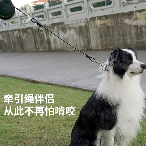 Dog anti-bite wire rope, dog leash, medium and large dog Samoyed dog walking rope, source manufacturer, pet dog leash